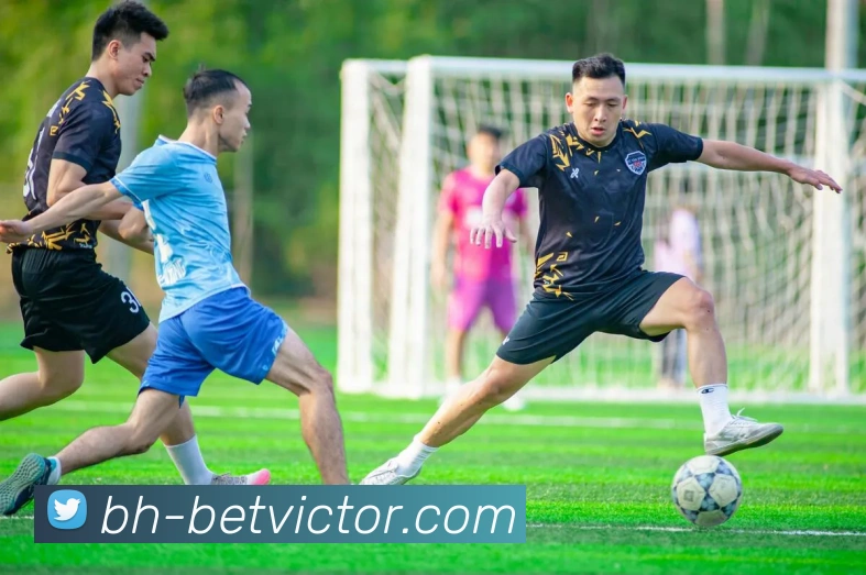 伟德1946官网品牌故事